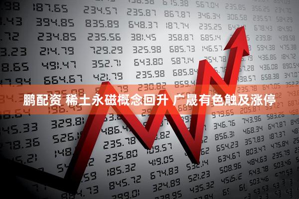 鹏配资 稀土永磁概念回升 广晟有色触及涨停