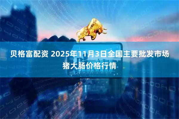 贝格富配资 2025年11月3日全国主要批发市场猪大肠价格行情