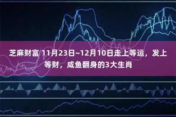 芝麻财富 11月23日~12月10日走上等运，发上等财，咸鱼翻身的3大生肖